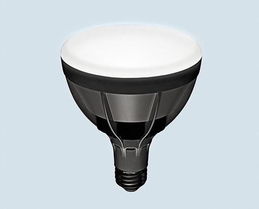 Lighting Science Bulb