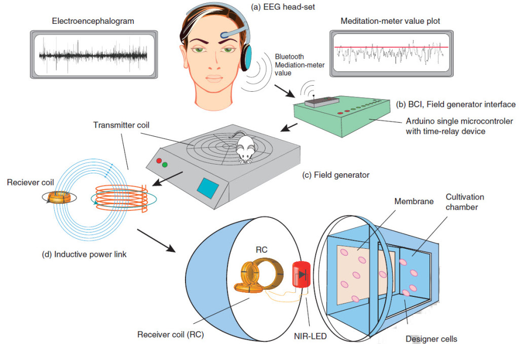 change_Gene&DNA_With_Simple_Thought_2