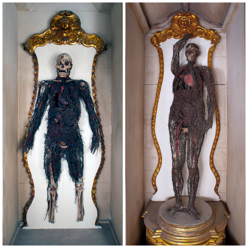 anatomical_machines_sansevero_chapel_collage