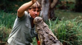 Steve Irwin Death Video