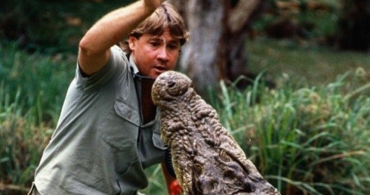 Steve Irwin Death Video