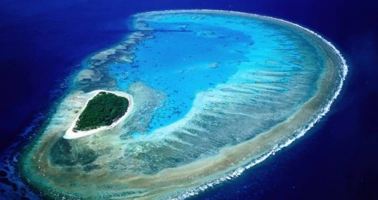 Lady Musgrave Island