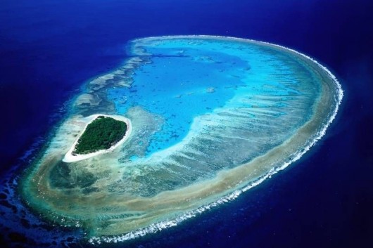 Lady Musgrave Island