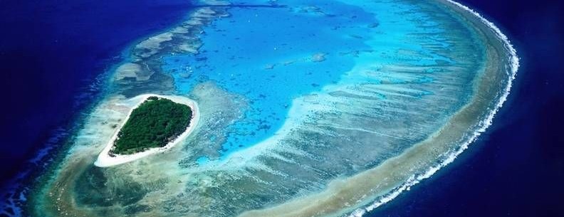 Lady Musgrave Island