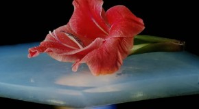 Aerogel