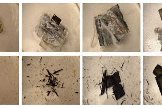 Battery Biodegrades