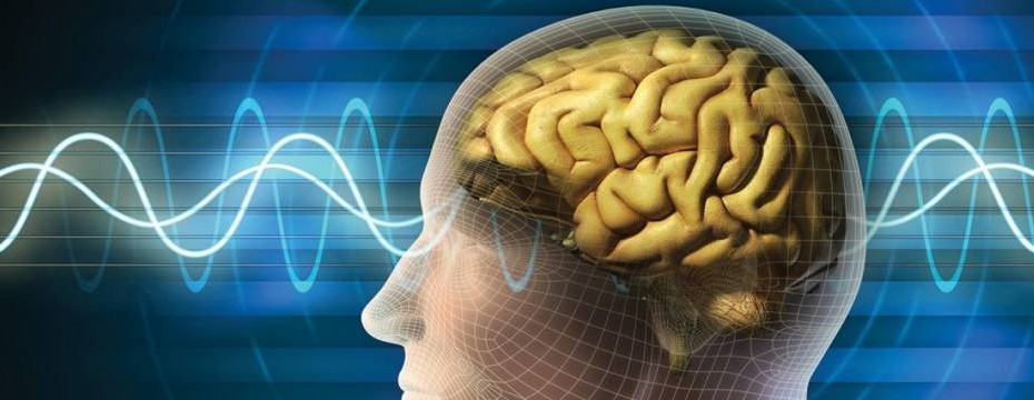 Cognitive Skills Improved By Playing PC Game