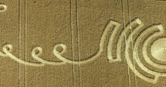 crop_circles_header